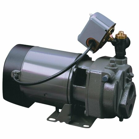 ALL-SOURCE 1 HP Cast Iron Water Conventional Well Jet Pump JHU10